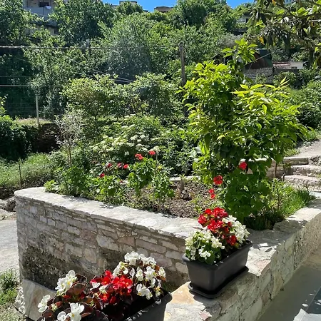 Latifi Gjirokastër