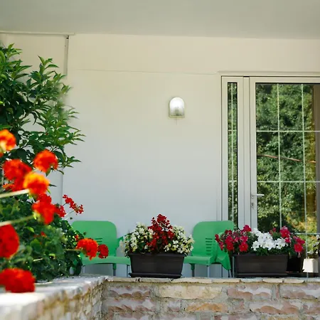 Latifi Guest house *